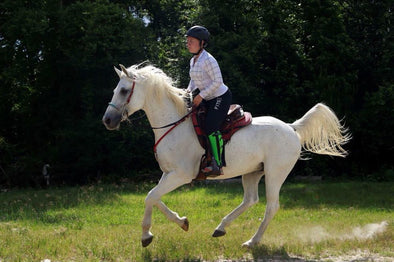 Devan Horn endurance rider on a white horse.